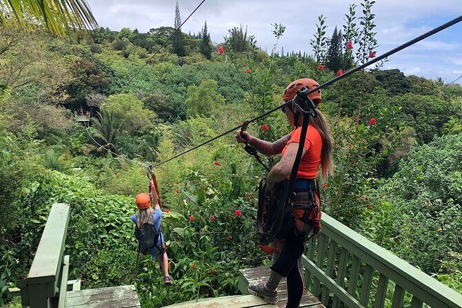 Maui Zipline Eco Adventure: 8 Lines through the Jungle - Jungle Treetops, Eight Lines, and a Real Jungle Loop
