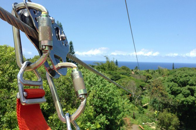 Maui Zipline Eco Adventure: 8 Lines through the Jungle - Check-In Timing and What Happens Before You Fly