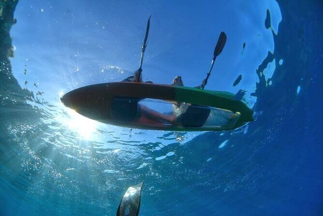 Maui's Only Clear Bottom Kayak Rental (priced per tandem kayak) - Key Points Before You Go