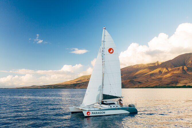Midmorning Whale Watch from Lahaina Harbor - What’s included: drinks, sunscreen, snacks, and the “watch longer” effect