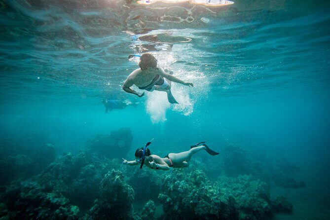Molokini Crater Snorkel & Whale Watch Adventure (Dec 15-Mar 30) - Key highlights worth booking for