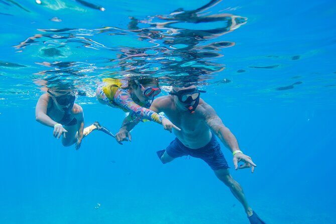 Molokini Crater Snorkel & Whale Watch Adventure (Dec 15-Mar 30) - Snacks and drinks: what’s included and what you must bring