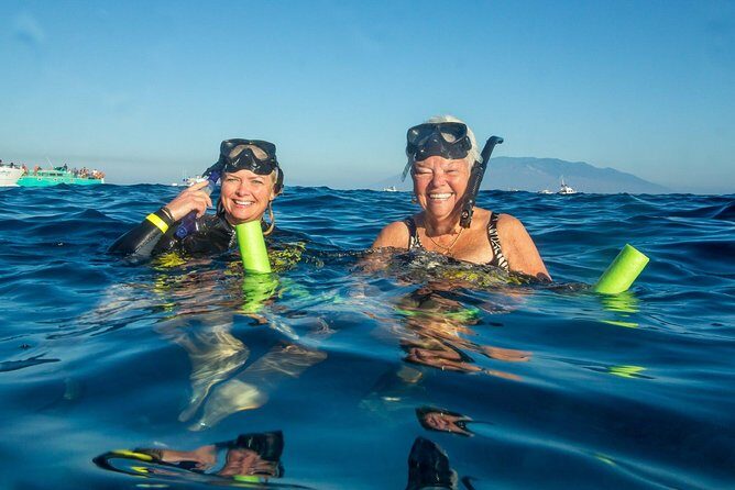 Molokini & Turtle Adventure: Small Group from Ma'alaea Harbor - Quick Hits Before You Go