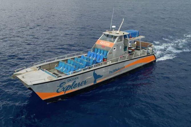 Molokini & Turtle Adventure: Small Group from Ma'alaea Harbor - Getting Started: Ma‘alaea Harbor, the 7:45 AM Rhythm