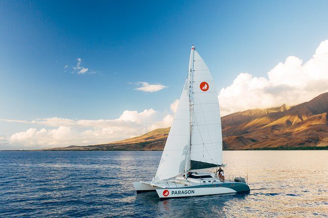 Morning Whale Watch: Lahaina Harbor - Key Points at a Glance