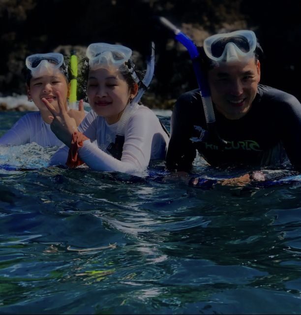 Night Time Snorkel At Turtle Town With Lights And Stars - Who Should Book This Night Snorkel (And Who Should Skip It)