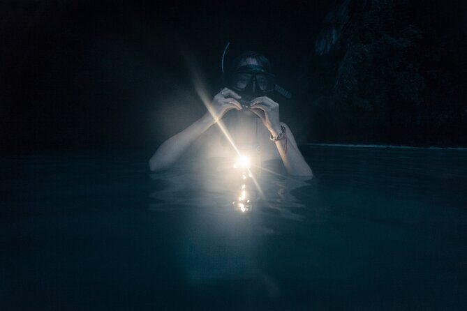 Night-Time Snorkel at TurtleTown with Stars, Lights, and Photos - Makena Landing Park: The Start That Sets the Mood