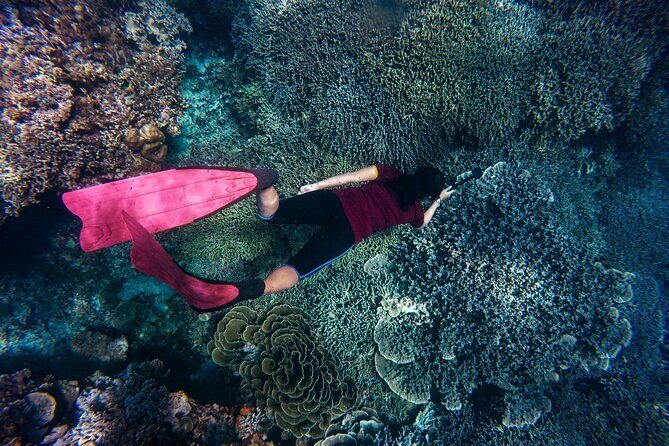 Night-Time Snorkel at TurtleTown with Stars, Lights, and Photos - Motion, Swells, and First-Timer Nerves