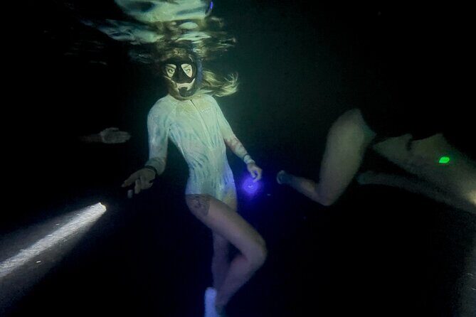 Night-Time Snorkel at TurtleTown with Stars, Lights, and Photos - Value for $119.20: Small Group, Real Attention, Extra Extras