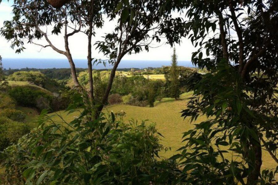 North Maui: 7 Line Zipline Adventure with Ocean Views - Who Should Book This (and Who Should Skip It)