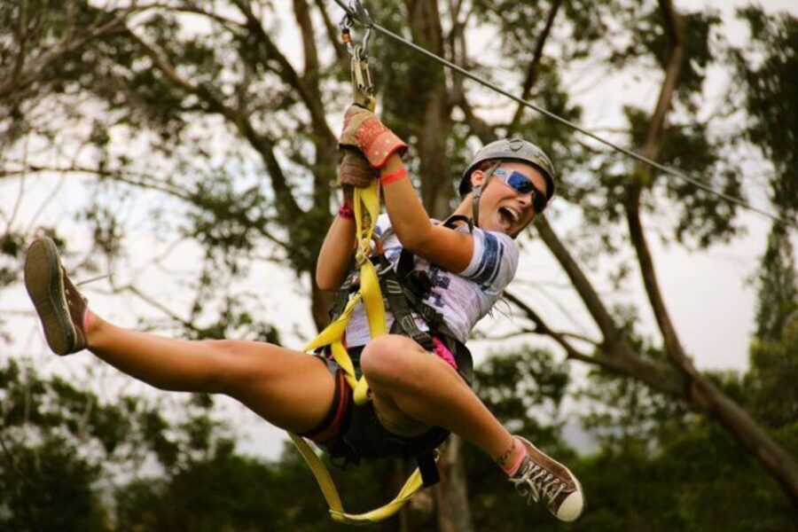 North Maui: 7 Line Zipline Adventure with Ocean Views - North Maui Ziplining Over Eucalyptus, Then WWII at Camp Maui Museum