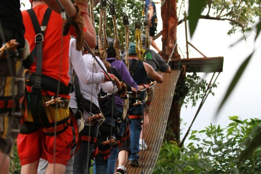 North Maui: 7 Line Zipline Adventure with Ocean Views - The 7-Zipline Course: Eucalyptus Canopy, Bridges, and That Ladder Climb