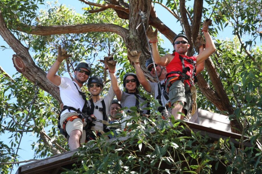 North Maui: 7 Line Zipline Adventure with Ocean Views - The Grand Slam Line: Speed Up to 45 mph and a Harness That Lets You Move