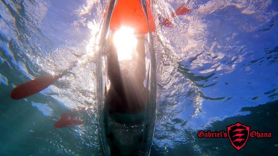 Olowalu: Guided Clear Kayak Tour - Unlimited - Who This Tour Suits Best