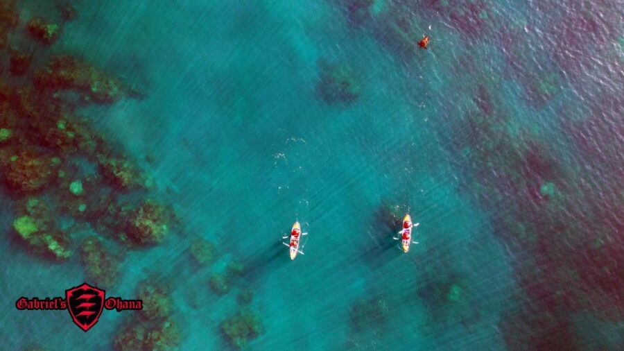 Olowalu: Guided Clear Kayak Tour - Unlimited - Your 3-Hour Paddle: What Happens During the Trip