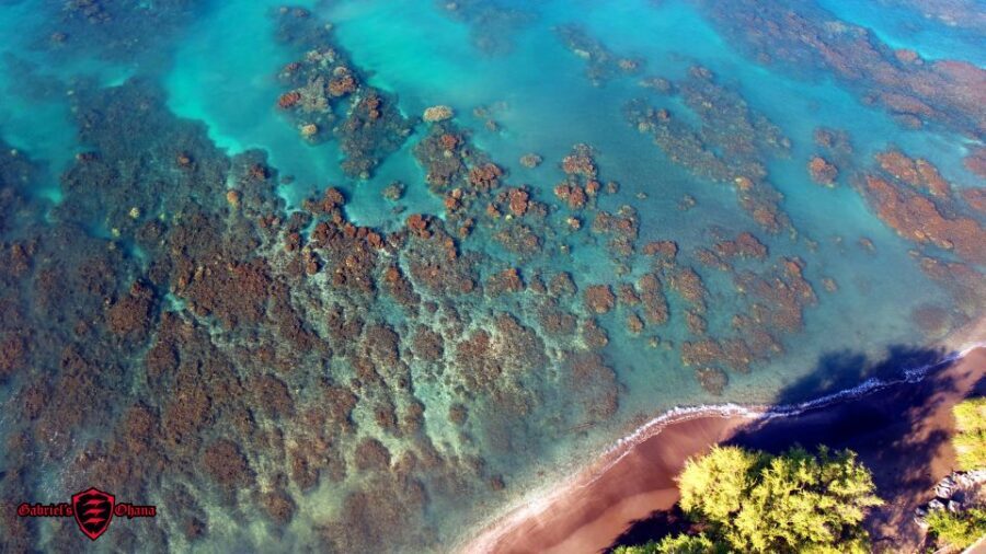 Olowalu: Guided Clear Kayak Tour - Unlimited - Snacks, Pineapple, and That Final Li Hing Mui Choice