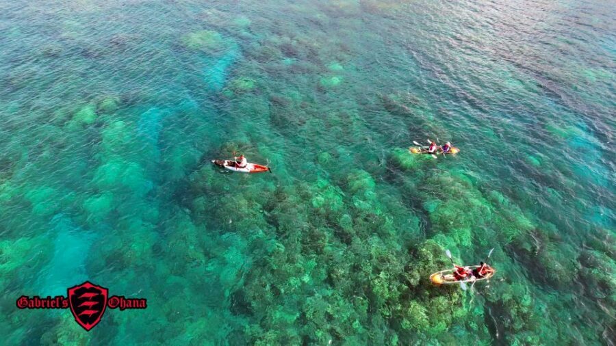 Olowalu: Guided Clear Kayak Tour - Unlimited - Price: Is $129 Worth It for a Clear Kayak Reef Tour?