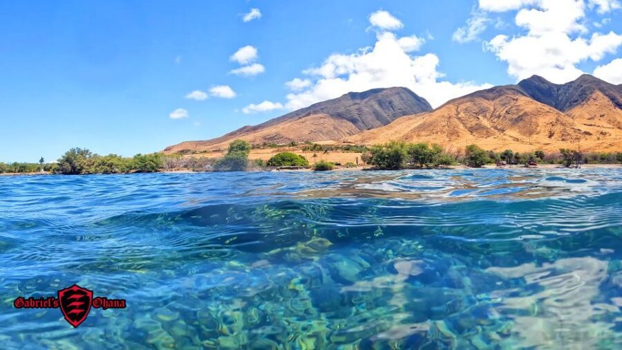 Olowalu: Guided Clear Kayak Tour - Unlimited - Getting Set Up: Gear, Fit, and the Comfort Check