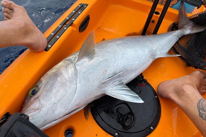 Pelagic Kayak Fishing Charter Lahaina - The Guide Factor: 20+ Years and a Hobie Kayak