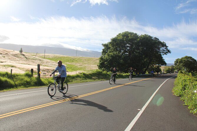 Predawn-Morning Haleakala Bike Tour 6,500 to Sea Level - Price and value: what $165 buys you on Maui