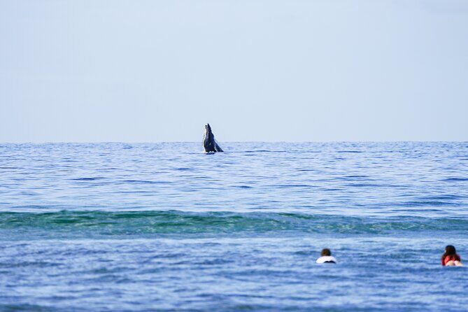 Private 2 hour Surf Lessons with Experienced Coaches - Why a private 2-hour surf lesson feels easier at Ukumehame