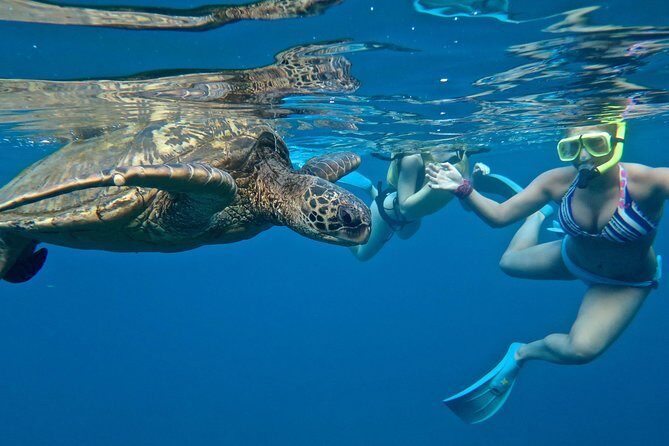 Private Beginner Paddleboard Lesson with Snorkel in Turtle Town - Key Things I’d Pencil In Before You Go