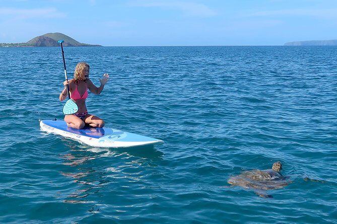 Private Beginner Paddleboard Lesson with Snorkel in Turtle Town - Getting to Makena Landing Park Without Losing Your Morning