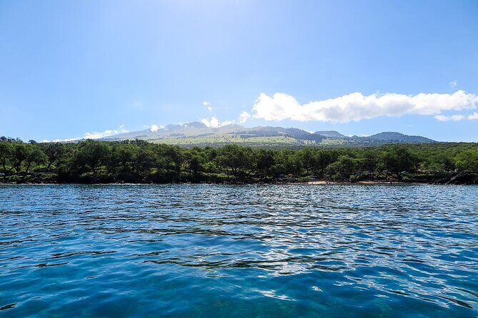 Private Beginner Paddleboard Lesson with Snorkel in Turtle Town - On the Water: The Beginner Skills You’ll Actually Use