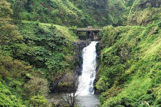 Private Full Day Maui Road to Hana Tour - Why a Private Road to Hana Ride Beats the Usual Plan