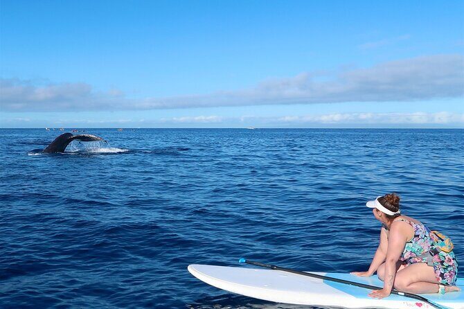 Private Paddleboard (SUP) Whale Watch: All Skill Levels Welcome - Stop 2: The sanctuary water—spotting whales from a closer, calmer perspective