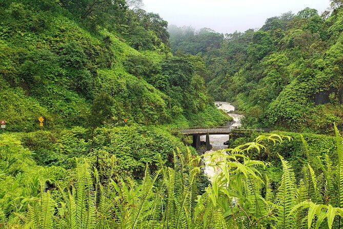 Private Road to Hana or any Maui destination in Luxury Mercedes Sprinter - Hana highlights you should plan around (and what to do there)