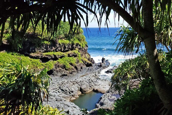 Private Road to Hana or any Maui destination in Luxury Mercedes Sprinter - Picnic lunch: why the food format works on Hana