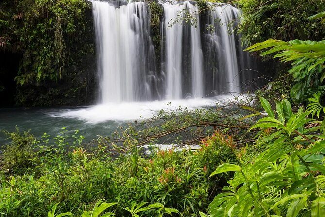 Private Road to Hana Rainforest & Waterfall Experience from Maui - Key highlights you’ll feel right away