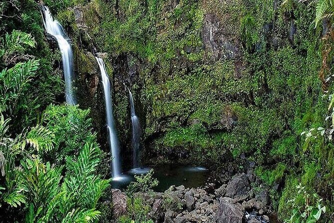 Private Road to Hana Rainforest & Waterfall Experience from Maui - Why start the Road to Hana at 6:00 am?