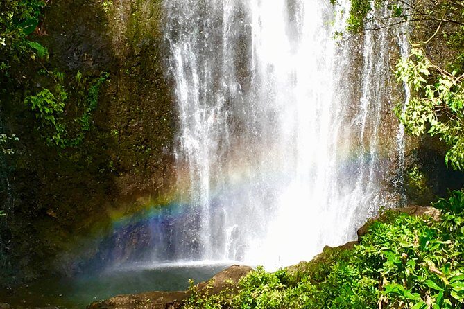 PRIVATE Road to Hana Tour - Ho‘okipa Beach Park: sea turtles, surfers, and a quick reset