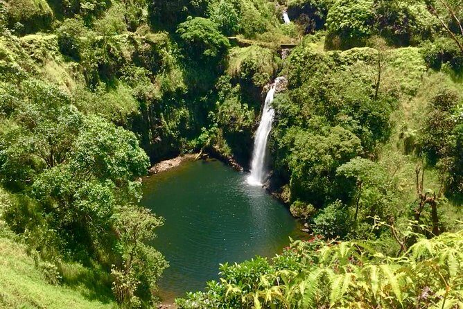 PRIVATE Road to Hana Tour - Bamboo forest: a fast pass that adds texture