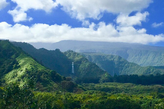 PRIVATE Road to Hana Tour - Kona Cloud Forest Sanctuary: rainbow eucalyptus in the right place