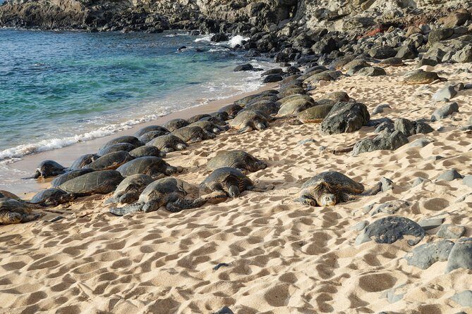 Private Shore Excursion: Best Highlights of Maui - Getting From the Port or Hotel Without Losing Time