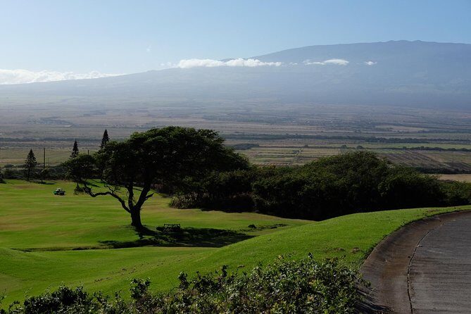 Private Shore Excursion: Best Highlights of Maui - Stop 3: Maui Ocean Center Tickets Are on You (and That’s a Choice)