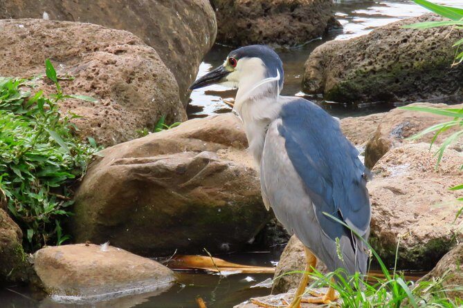 Private Shore Excursion: Best Highlights of Maui - What to Expect on the Day (Comfort, Timing, and Pace)