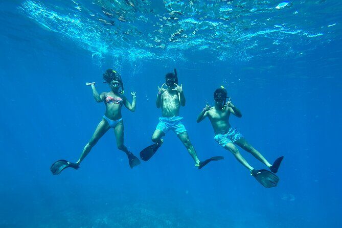 Private Snorkel Photos Included - The Maui snorkeling session: one stop, lots of purpose