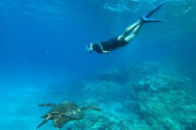 Private Snorkel Photos Included - How private underwater photos work (and why they’re included)