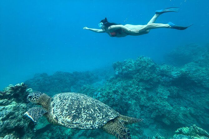 Private Snorkel Photos Included - Price and value: is $155 per person reasonable for a 2.5-hour private snorkel?
