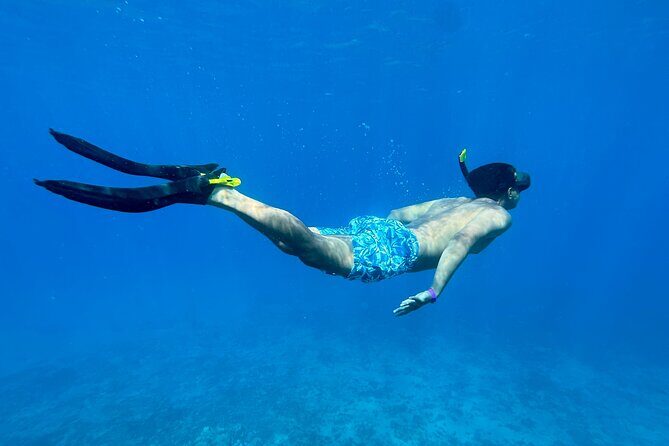 Private Snorkel Photos Included - Tips to make your 8:00 am snorkel day go smoothly