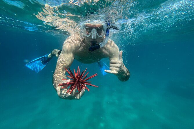 Private Snorkel Photos Included - Beach setup, snacks, bottled water, and the gear you don’t have to pack