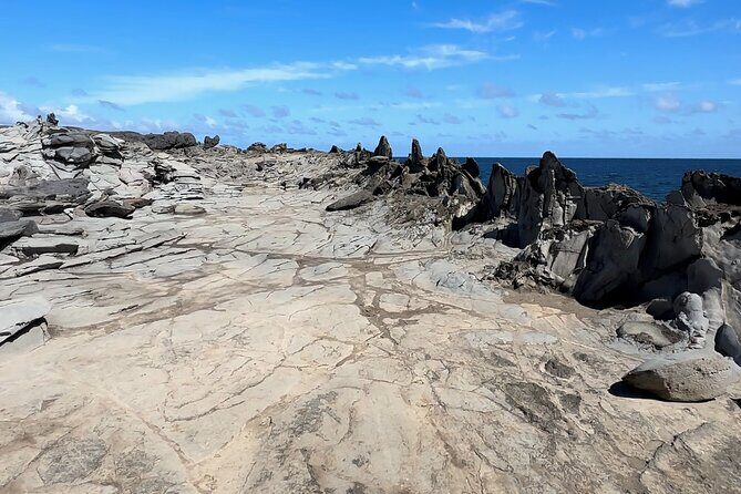 Private West Maui Coastline Open-Air Jeep Tour - Honolua Bay: 15 minutes for quiet water and big views
