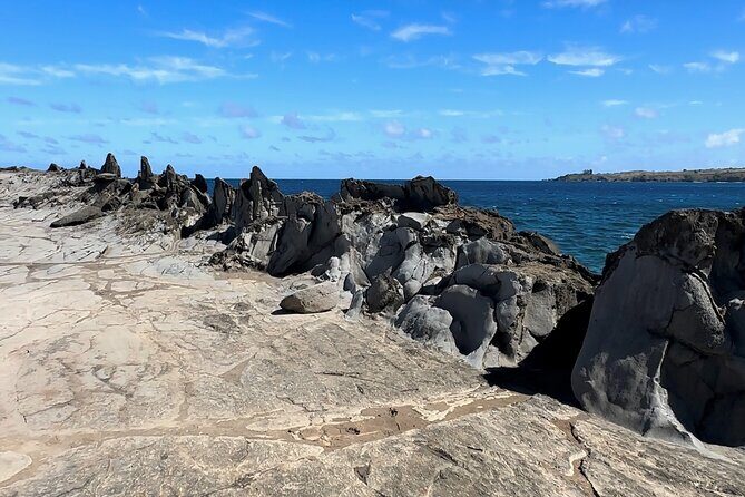 Private West Maui Coastline Open-Air Jeep Tour - Price and value: $700 for up to four people