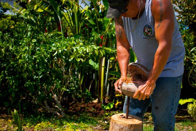 Pueo Farm Tour (1.5 hr) Upcountry Kula Maui Hawaii - Upcountry Kula: why this farm tour feels different on Maui