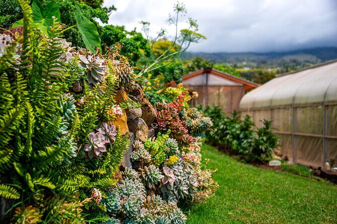 Pueo Farm Tour (1.5 hr) Upcountry Kula Maui Hawaii - Weather and short-tour reality: what to do with the day you have
