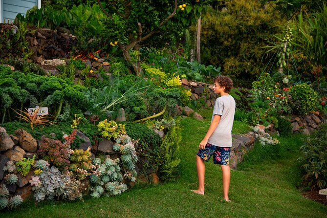 Pueo Farm Tour (1.5 hr) Upcountry Kula Maui Hawaii - Stop in Kula: flowers, vegetables, and regenerative sustainable farming explained on-site